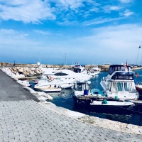 CYPRUS LIFE: A DAY AT THE HARBOR